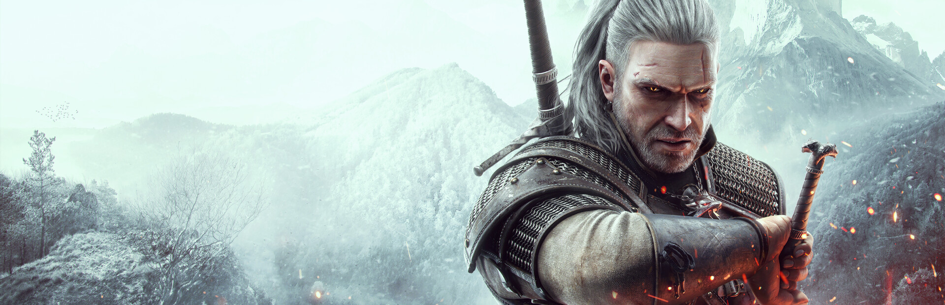 The Witcher